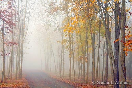 Autumn Morning Fog_24187.jpg - Photographed in Delaware, Ohio, USA.